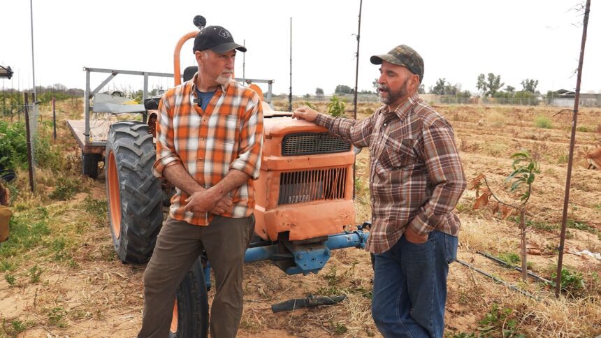 los-agricultores-israelies-del-area-de-gaza-conmovidos-por-los-voluntarios-estadounidenses-con-‘grandes-corazones’-que-ayudaron-a-rescatar-cultivos-en-tiempos-de-guerra