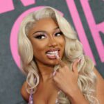 la-aplicacion-favorita-de-megan-thee-stallion-es-pinterest,-obviamente-|-techcrunch