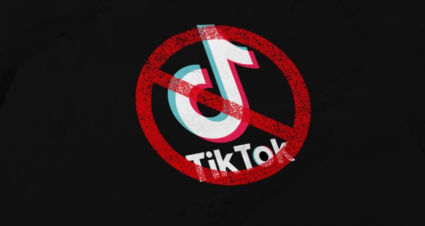 la-camara-de-representantes-de-estados-unidos-aprueba-un-proyecto-de-ley-revisado-para-prohibir-tiktok-o-forzar-la-venta-|-techcrunch