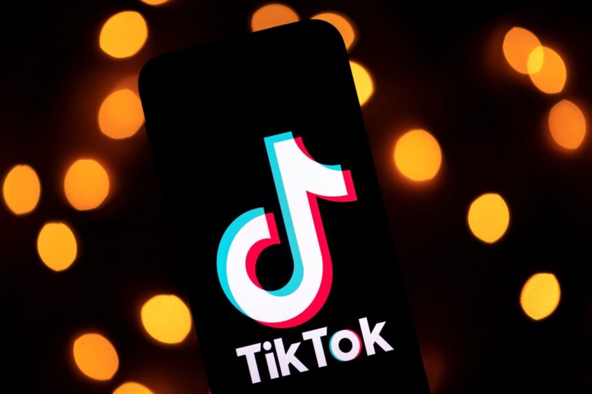 tiktok-shop-amplia-su-oferta-de-moda-de-lujo-de-segunda-mano-al-reino-unido-|-techcrunch