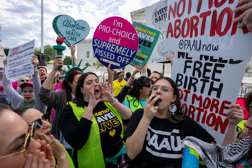 la-corte-suprema-sopesa-el-alcance-de-la-ley-de-aborto-de-idaho-en-el-primer-caso-importante-desde-la-revocacion-de-roe-v.-wade