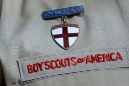 los-criticos-critican-a-bsa-por-deshacerse-del-‘nino’-de-los-boy-scouts:-‘el-despertar-destruye-todo-lo-que-toca’